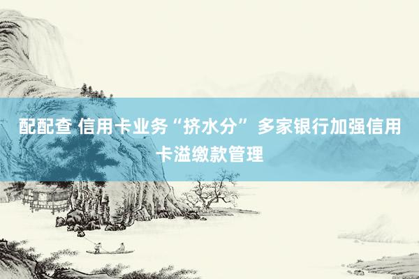 配配查 信用卡业务“挤水分” 多家银行加强信用卡溢缴款管理