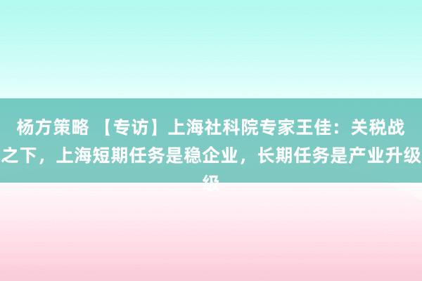 杨方策略 【专访】上海社科院专家王佳：关税战之下，上海短期任务是稳企业，长期任务是产业升级