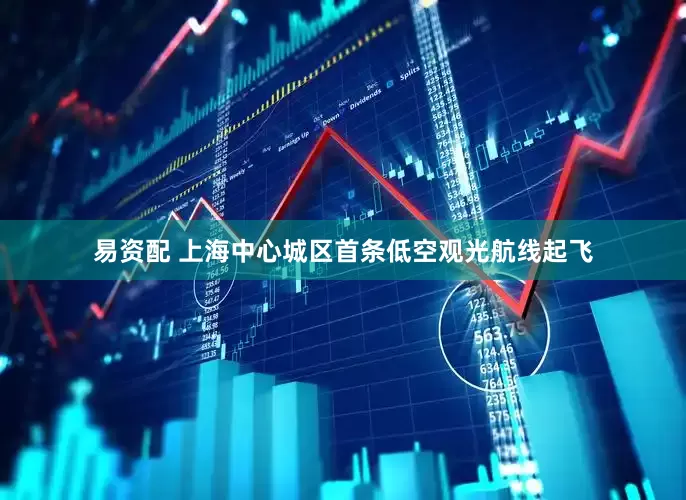 易资配 上海中心城区首条低空观光航线起飞