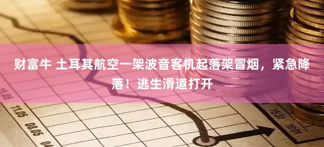 财富牛 土耳其航空一架波音客机起落架冒烟，紧急降落！逃生滑道打开